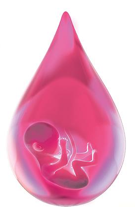 בדיקת דם לגילוי מומים בעובר